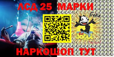 индика Гагарин