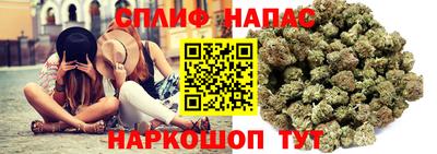 винт Гатчина