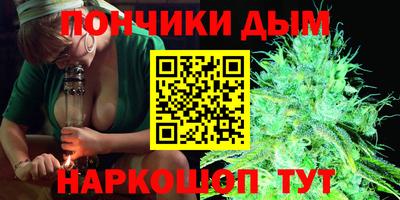 индика Гагарин