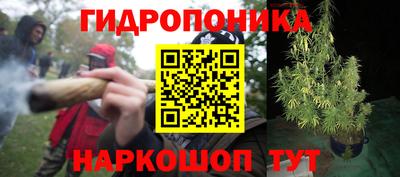 кокаин колумбия Гай