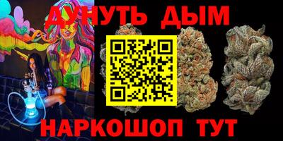 индика Гагарин