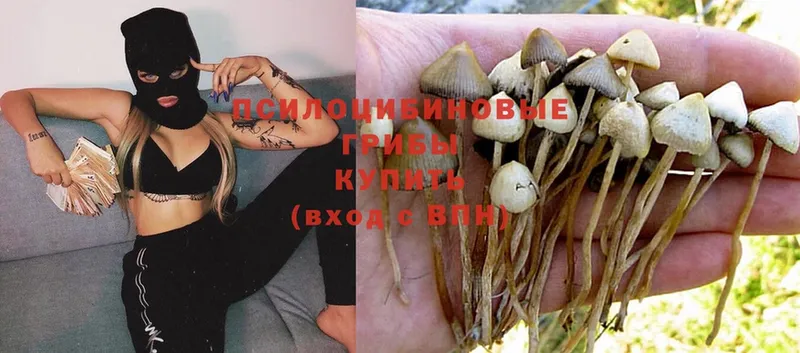 Галлюциногенные грибы MAGIC MUSHROOMS  Кашира 