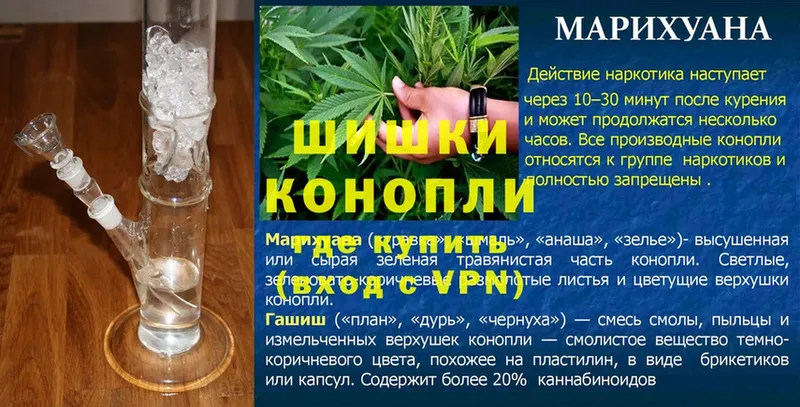 Конопля OG Kush  Кашира 